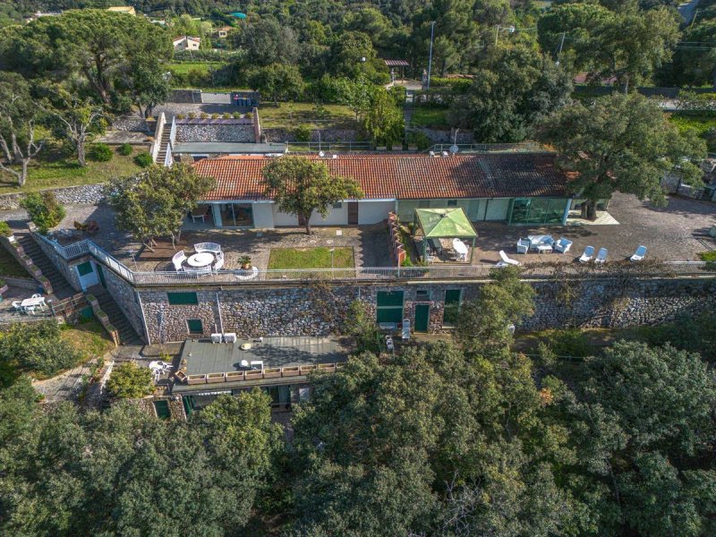 卡波利韦里别墅