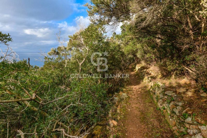 Villa in Marciana Marina