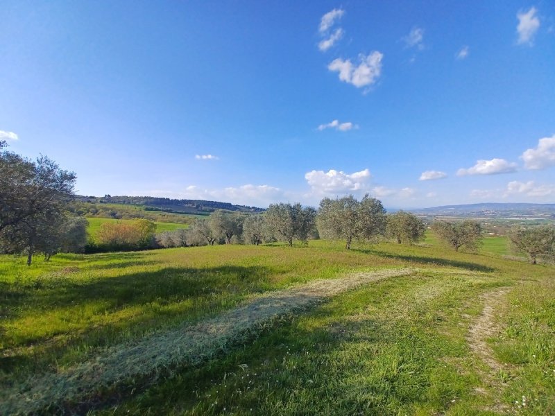 弗拉塔托迪纳农用土地