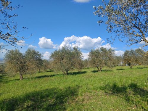 弗拉塔托迪纳农用土地