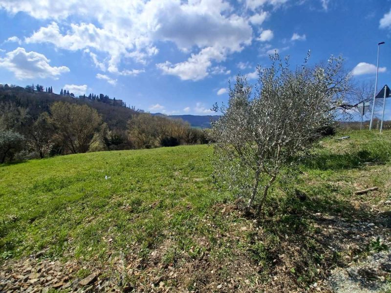 Terrain à Monte Castello di Vibio